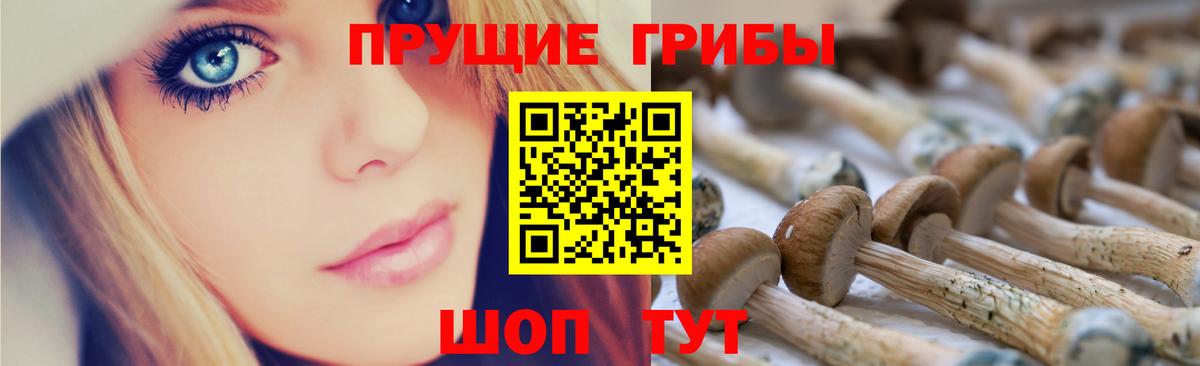 Псилоцибиновые грибы Psilocybine cubensis  Галлюциногенные грибы Psilocybe  Видное  Вход с VPN 